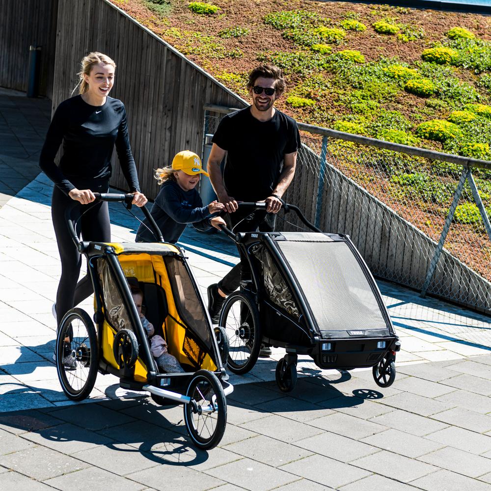 fietskar Thule