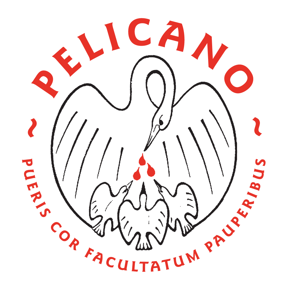 Logo Stichting Pelicano