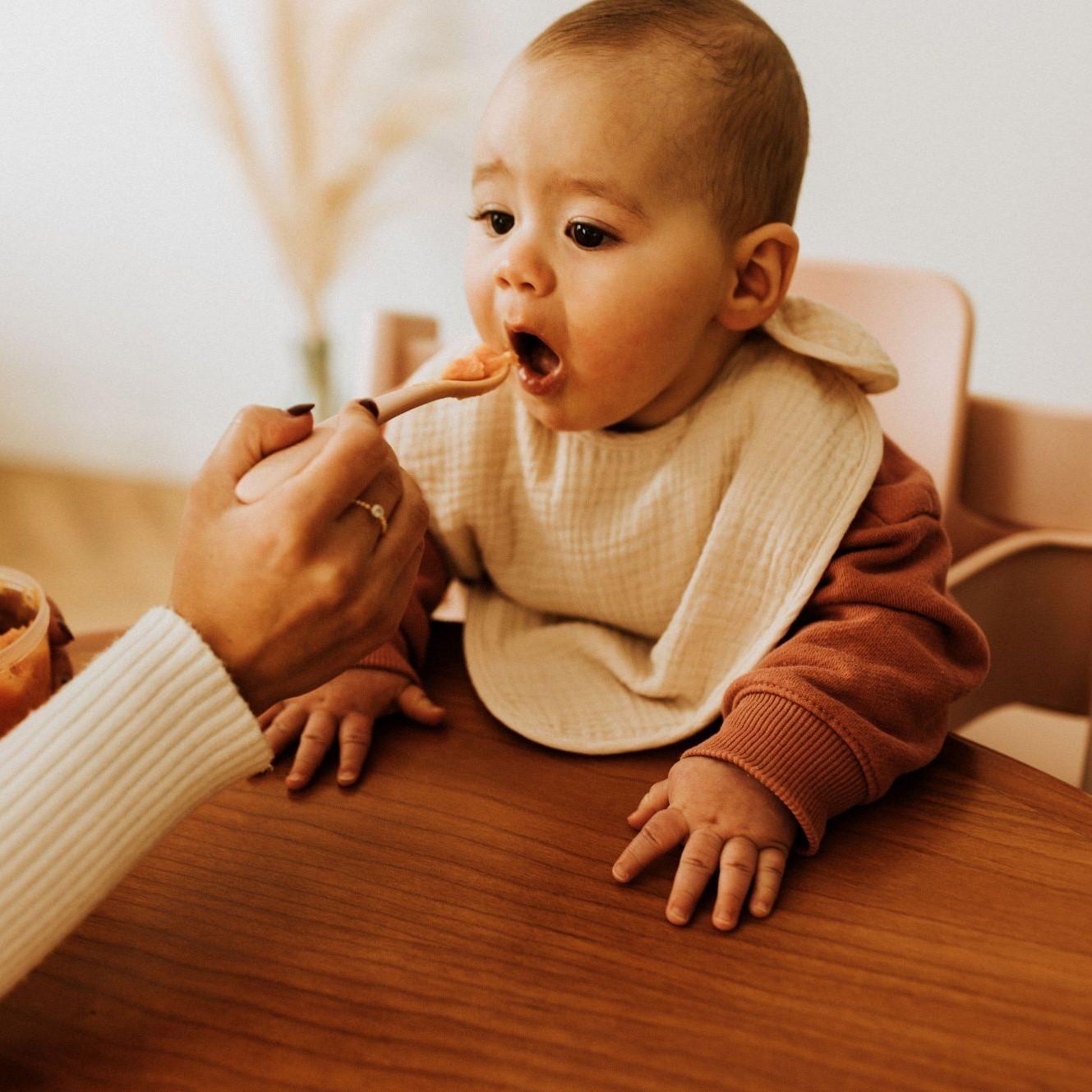 homemade baby food