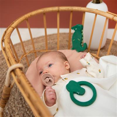 Teething ring round