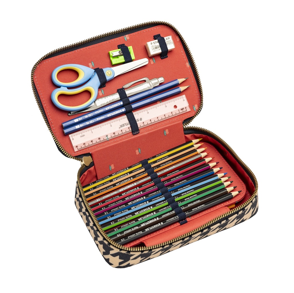 Pencil box filled