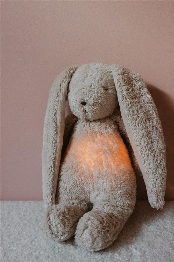 Lapin en peluche (avec son et lumière)