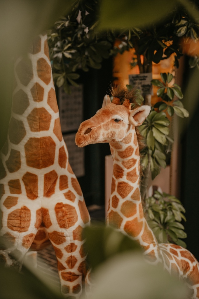 Giraffe 135cm