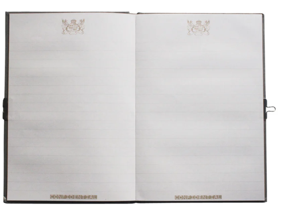 *Dagboek top secret