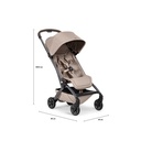 Buggy Aer2