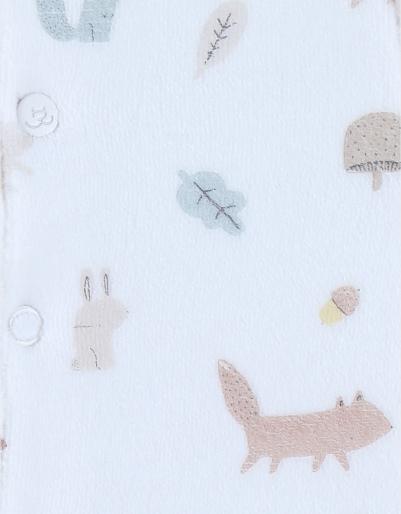 Kruippakje met fluwelen motief - fancy fox