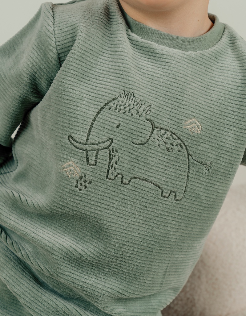 Pyjamaset met mammoetborduursel in fluweel