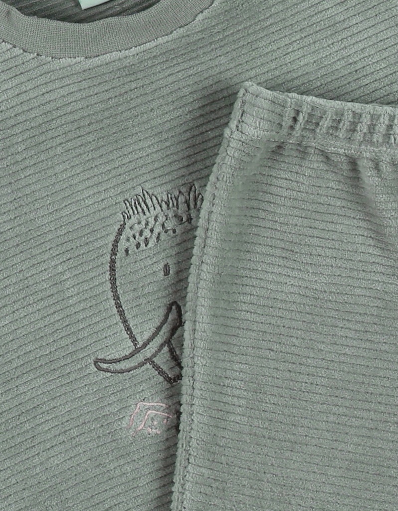 Pyjamaset met mammoetborduursel in fluweel