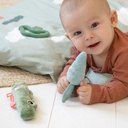 Knuffel vogel Birdee
