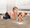 Loop met mij puppy