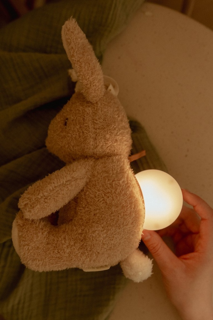 Knuffelkonijn Licht & Geluid