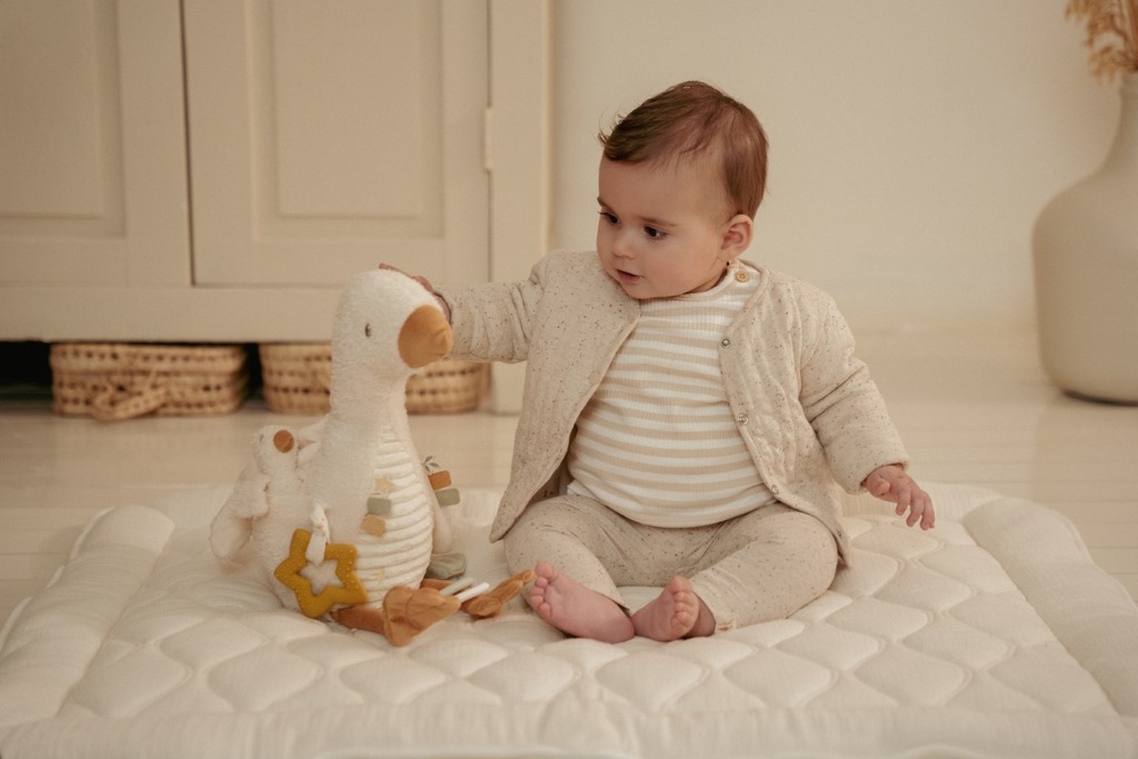 Activiteitenknuffel Little Goose