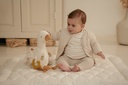Activiteitenknuffel Little Goose