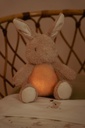 Knuffelkonijn Licht & Geluid