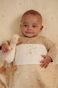 Knuffel Little Goose 17 cm