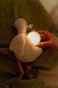 Knuffelgans Licht & Geluid