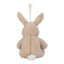 Knuffelkonijn Licht & Geluid