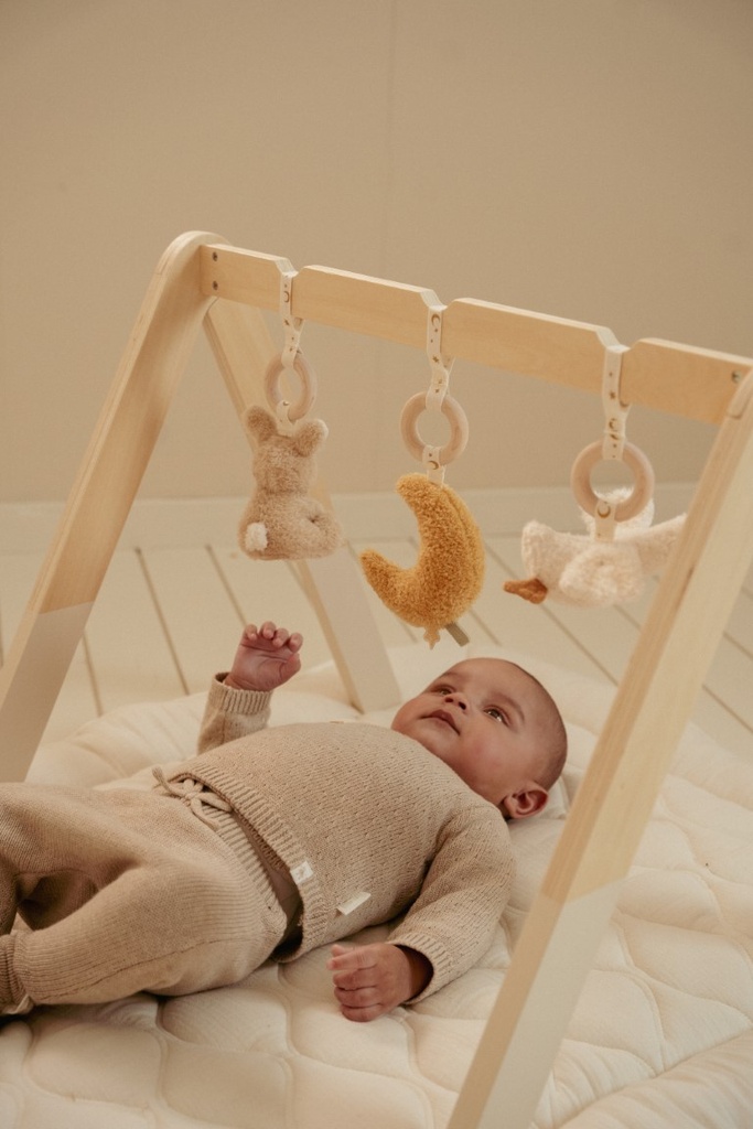 Babygym