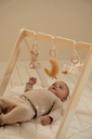 Babygym