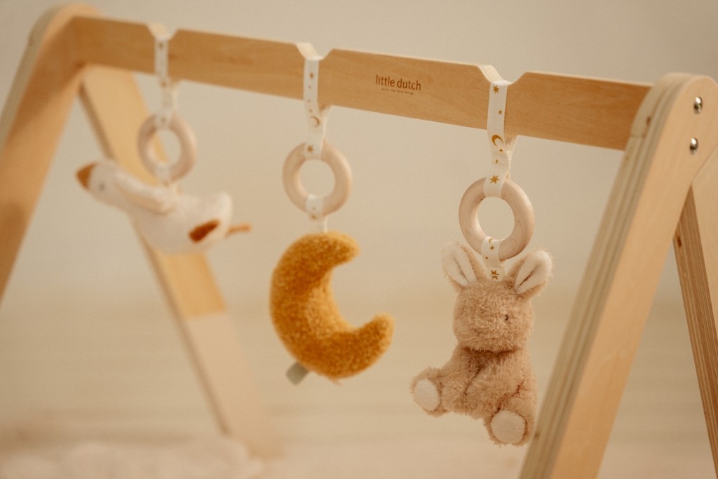 Babygym