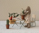 Bloempot met cactus