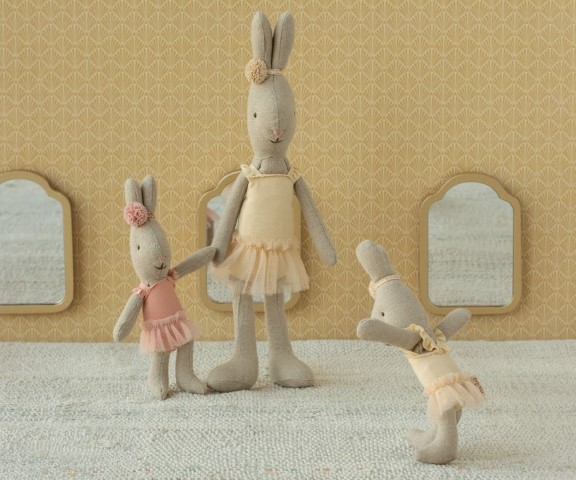 Ballet muis - micro