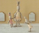 Ballet muis - micro