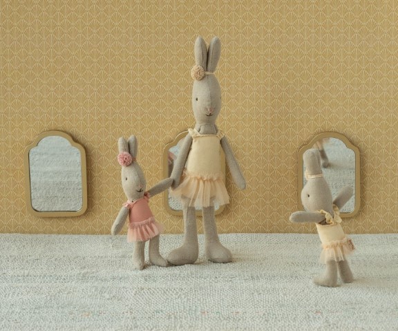 Ballet muis - micro