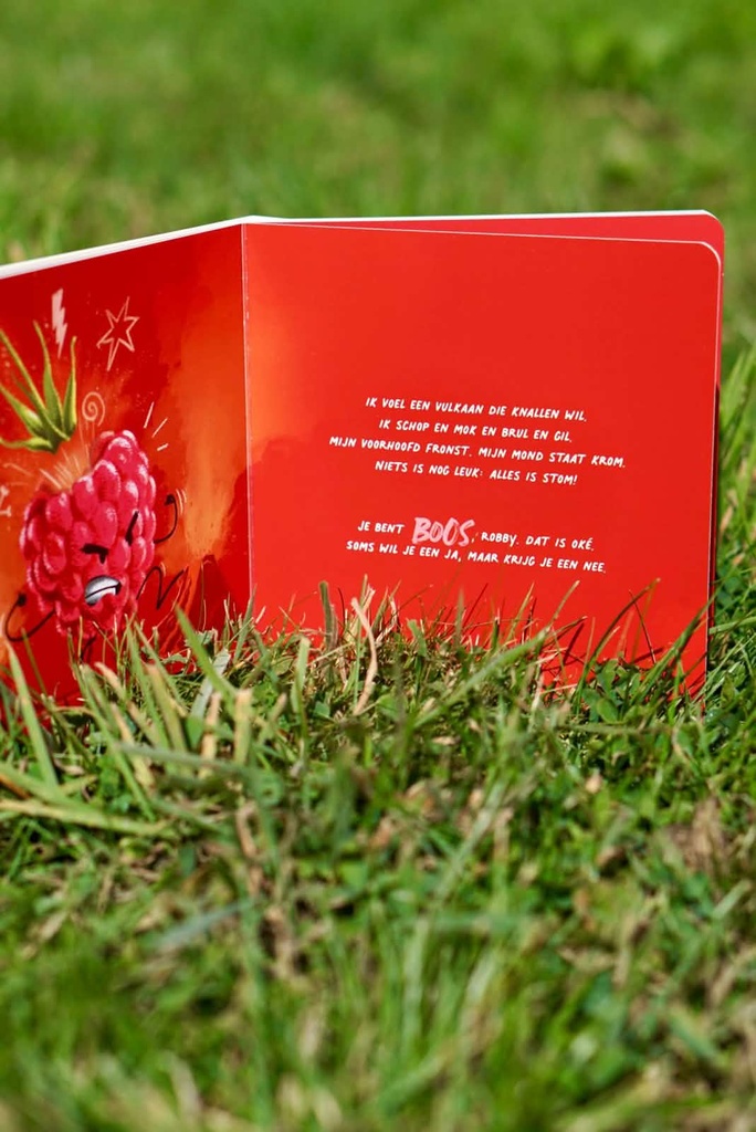 Je maakt me FramBlij -kartonboekje over emoties