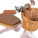 Driewieler trike