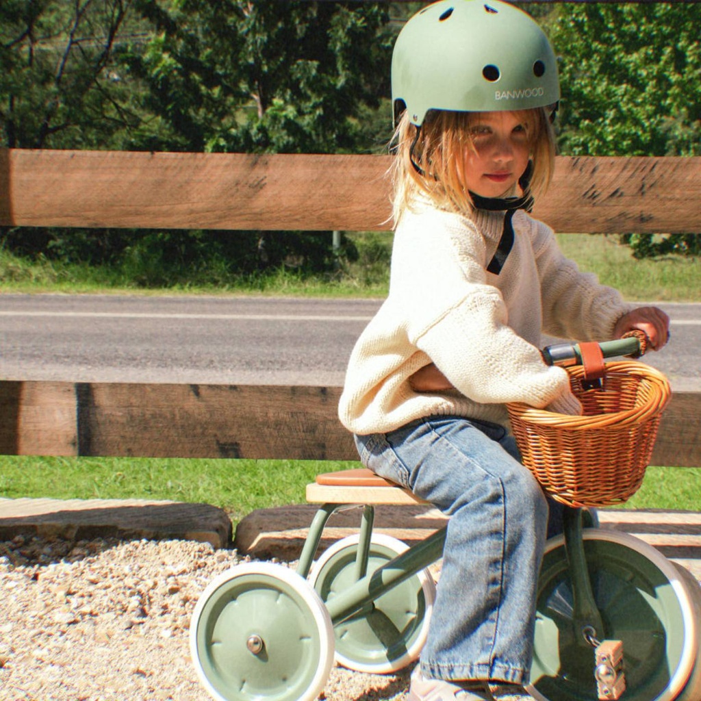 Driewieler trike