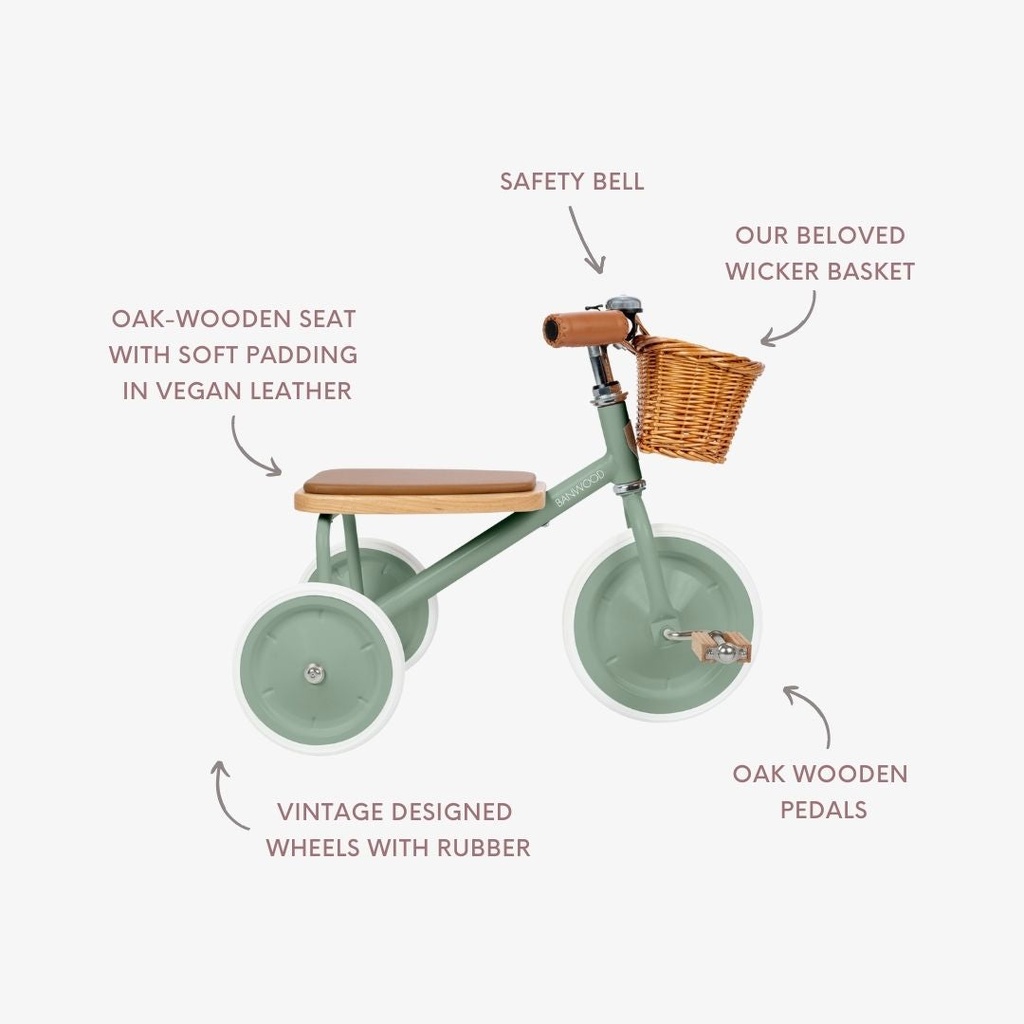 Driewieler trike
