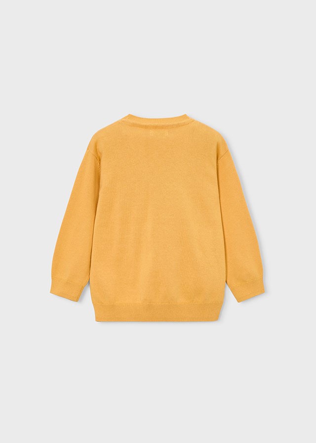 Trui basic met ronde hals
