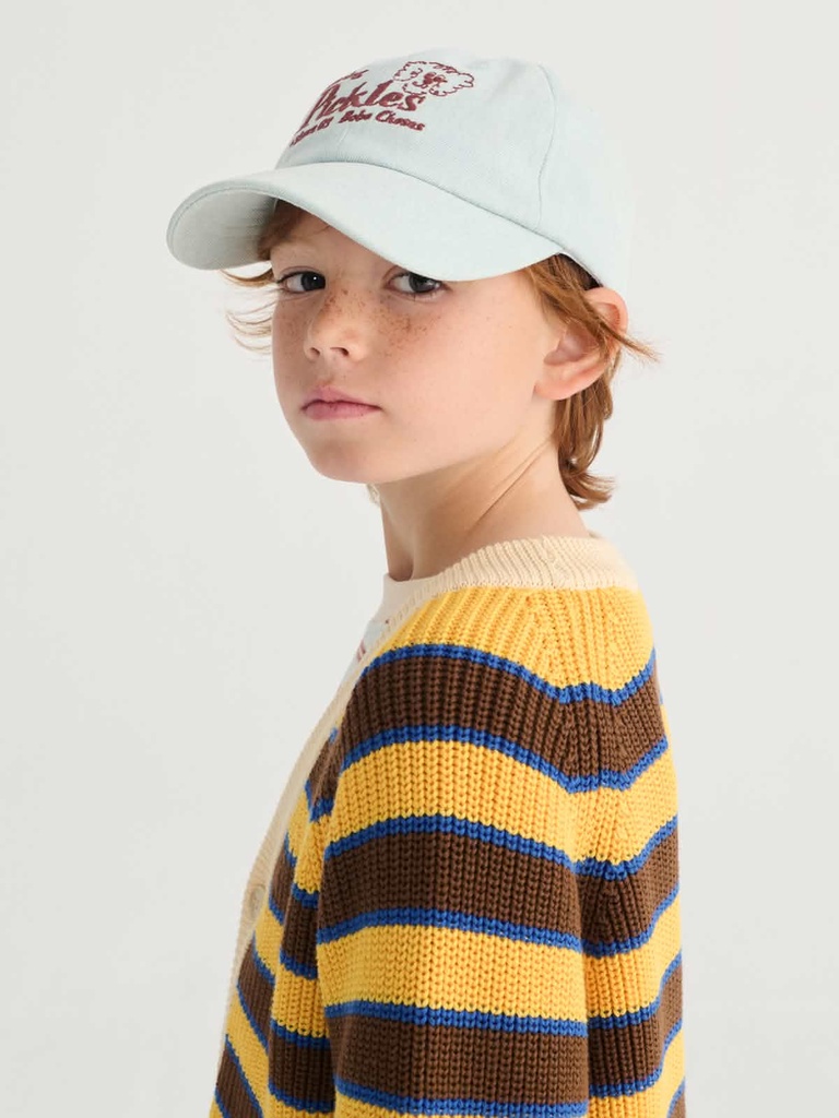 Pet denim woven pickles de hond