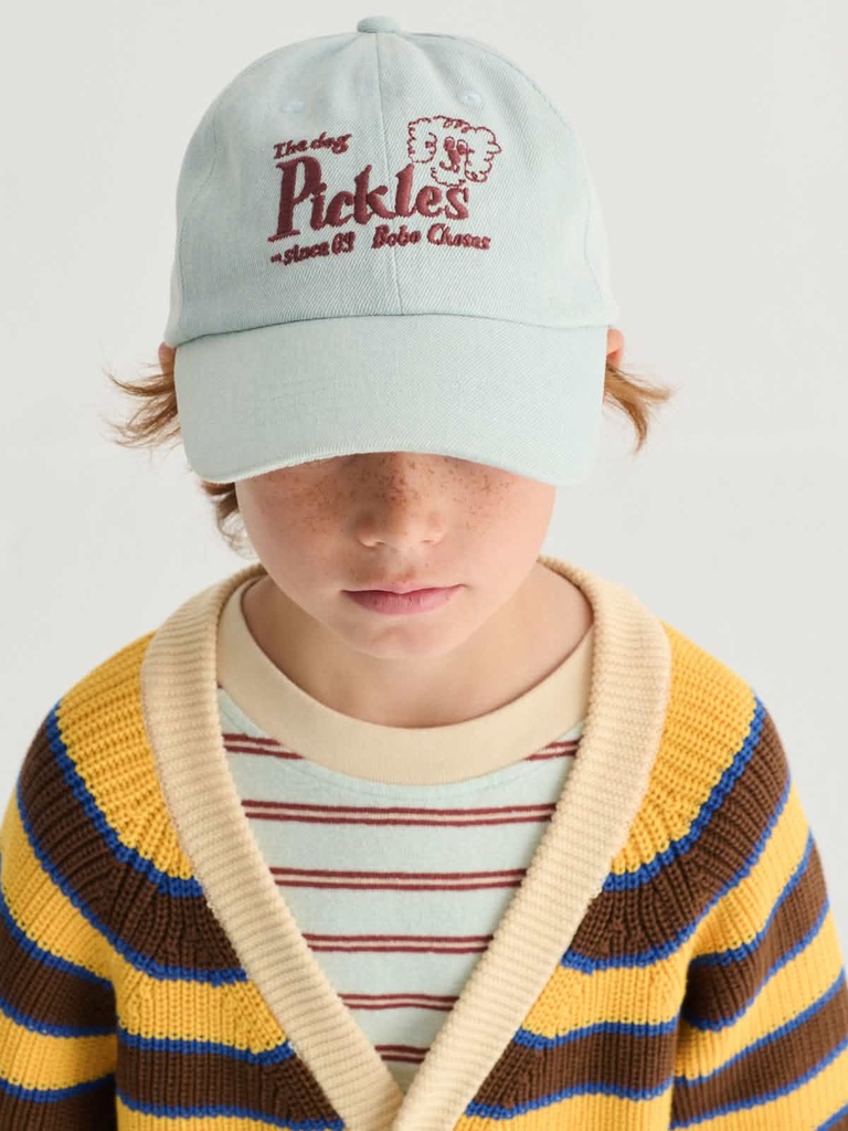 Pet denim woven pickles de hond