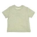 T-shirt devon