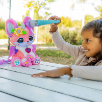 Foxy de magische kleurenfee