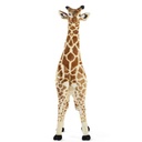 Giraffe (135cm)