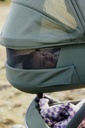 Kinderwagen Geo5 (complete set)