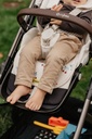 Air layer buggy