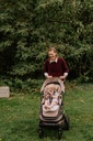 Air layer buggy