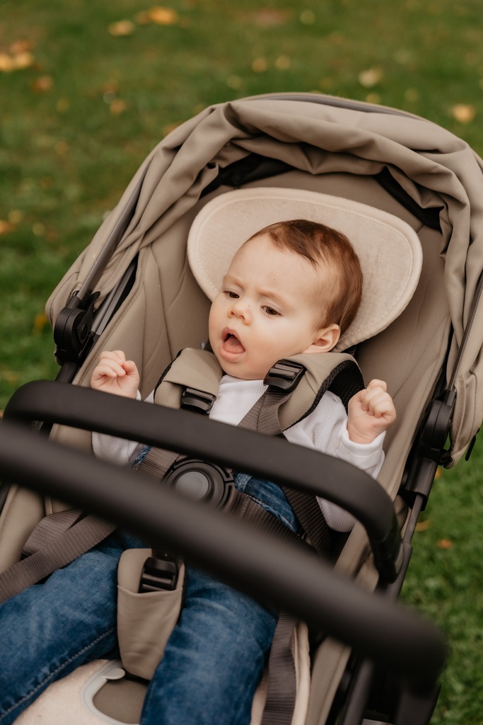 Air layer buggy