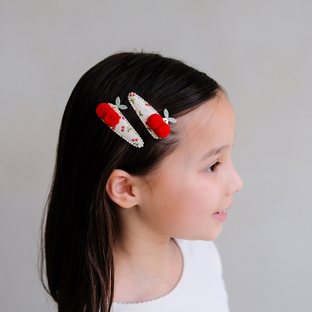 Haarclip (2 stuks)