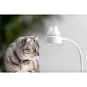 Night light cat