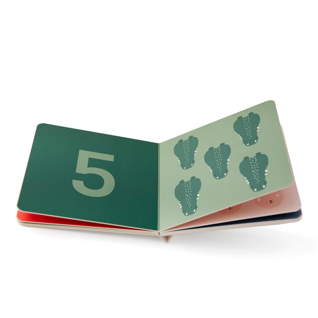 Counting Book