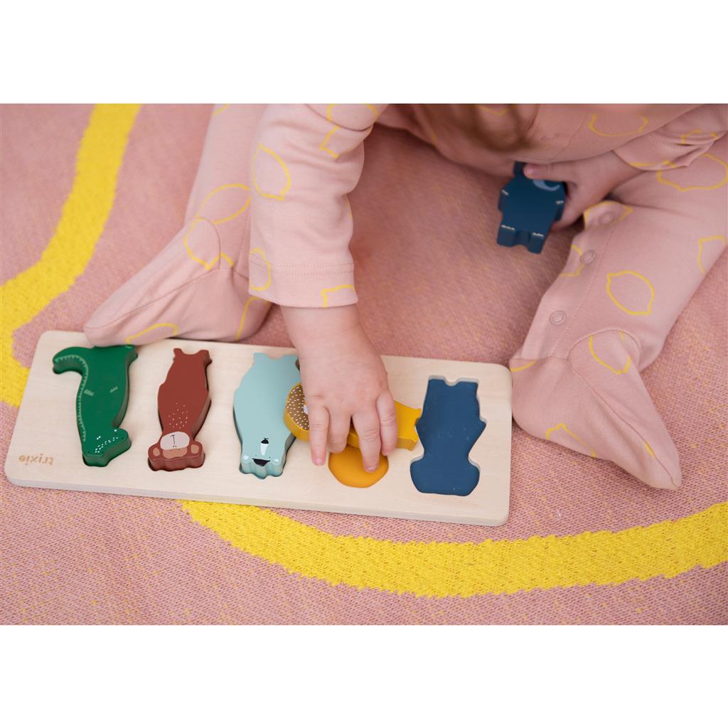 Shape puzzle wood