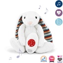 Cuddle heartbeat (rabbit)