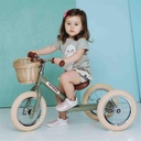 Balance bike 2-in-1