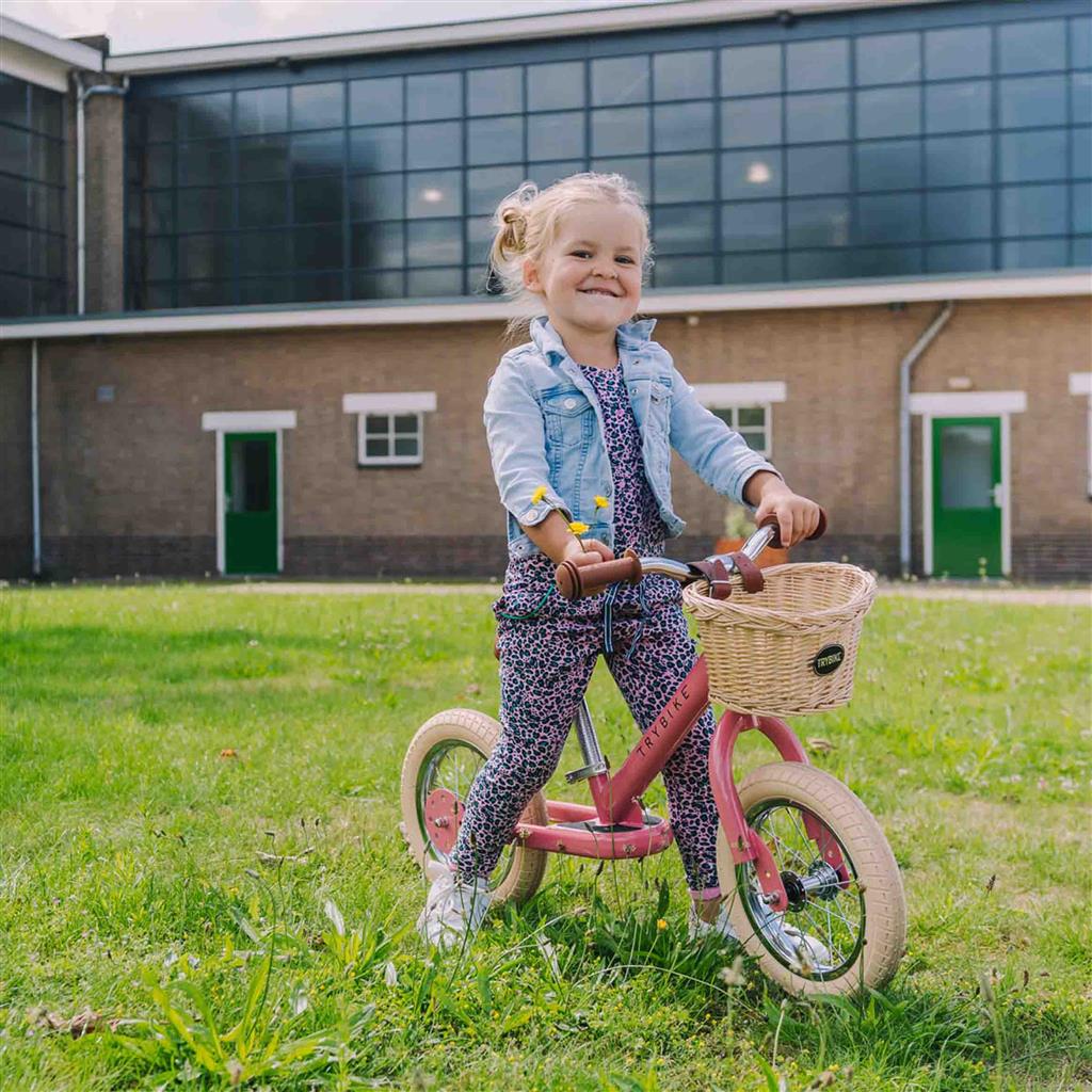 Vélo d'équilibre 2 en 1