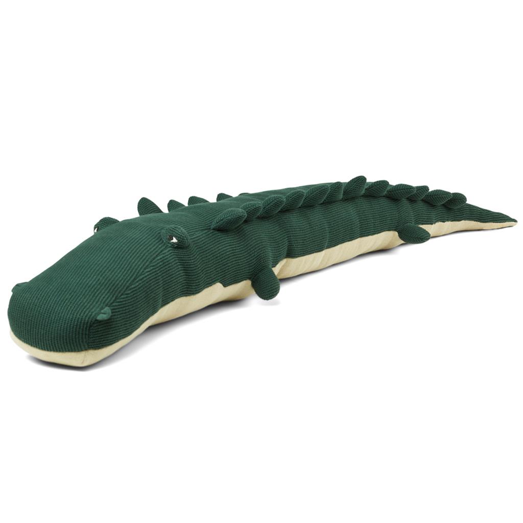 Crocodile Carlos